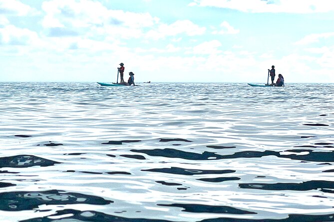 Private Excursion With Bike Paddle in Moorea and Snorkeling - Traveler Reviews and Ratings