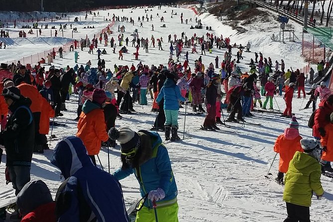 Private Experience for Ice Fishing and Ski From Seoul to Gangwon-Do - Private Tour Options