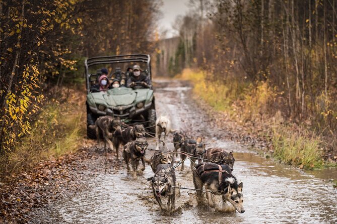 Private Fall Foliage Mushing Cart Ride in Fairbanks - Inclusions
