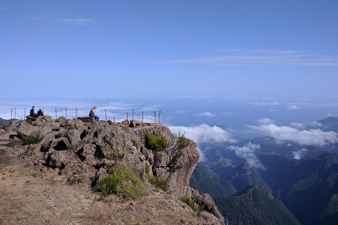 Private Full Day 4X4 Tour: East or West - Perform Checks on Reviews