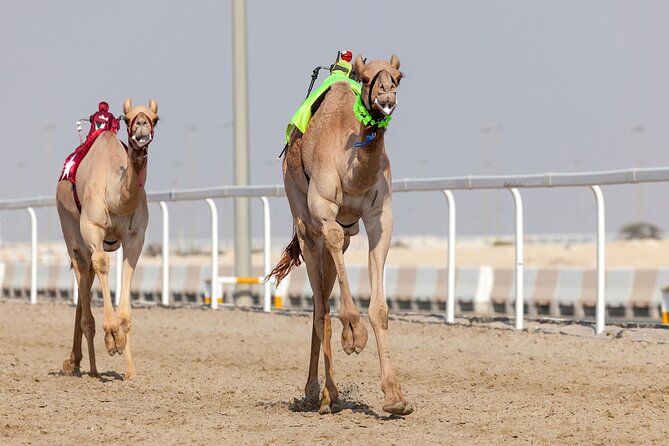 Private Full Day Guided West of Qatar Tour and Desert Safari - Itinerary for the Full Day Guided Tour