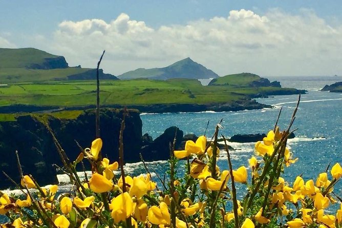 Private Full Day Tour From Killarney - Ring of Kerry/Skellig - Customizable Stops and Attractions
