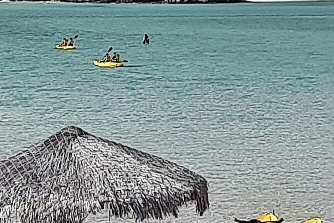 Private Full-Day Tour to Playa Balandra La Paz and Todos Santos - The Sum Up