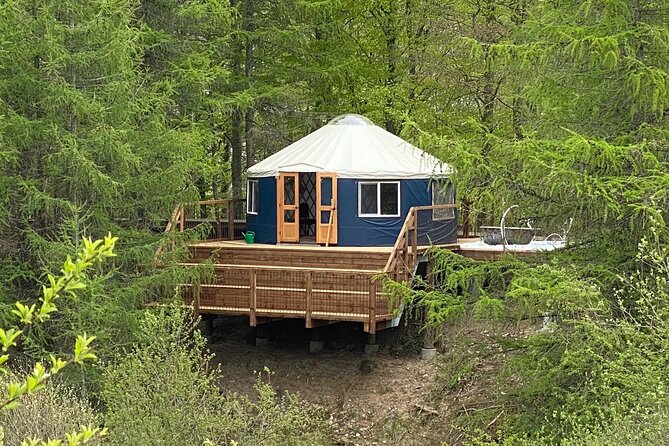 Private Glamping at Forest Tower With Transportation From CPH - Meeting and Pickup