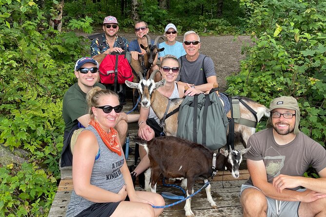 Private Goat Hiking in Quebec Forest and Beaver Dam Visit - Important Information for Participants