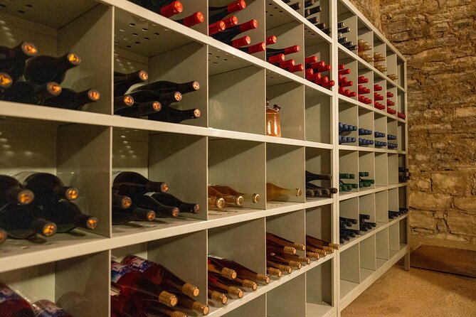 Private Greek Artisan Wine Tasting at Satyrs "The Cellar" - Uncovering the Secrets of Greek Wine