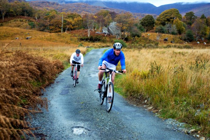 Private Group Cycle Tour Around Killarney National Park. Kerry. Guided. - Inclusions and Amenities