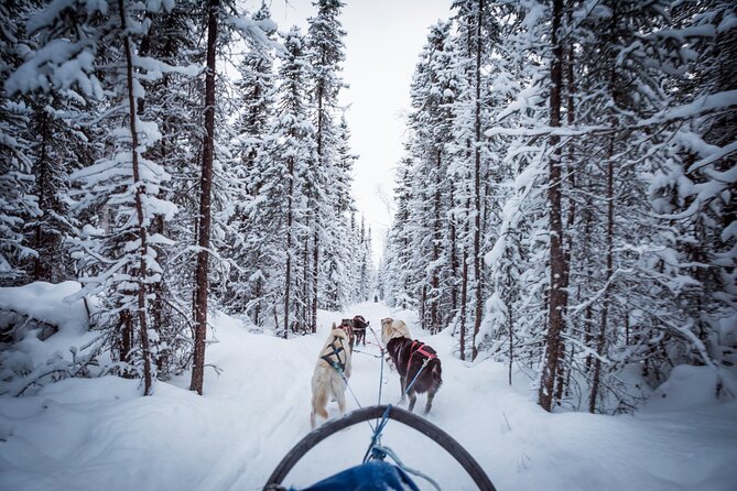 Private Guided Chena River Mush Dream Vacation in Fairbanks - Whats Included and Equipment and Facilities