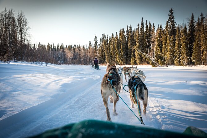 Private Guided Chena River Mush Dream Vacation in Fairbanks - Meeting and Pickup