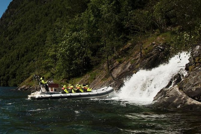 Private Guided Day Tour to Flåm - Incl RIB Sognefjord Safari and Flåm Railway - Panoramic Views of Flåm