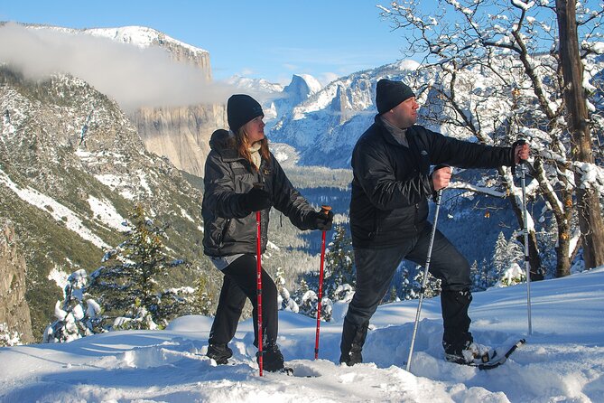 Private Guided Snowshoe Hike in Yosemite - Tour Details