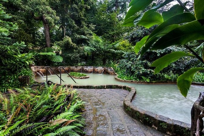 Private Guided Tour and Thermal Baths in São Miguel - Cancellation and Changes Policy