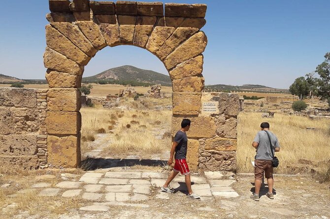 Private Guided Tour of Zaghouan, Thuburbo Majus and Dougga From Hammamet - Reviews