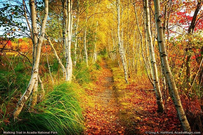 Private Half-Day Acadia National Park Tour With Lunch Break  - Bar Harbor - Directions