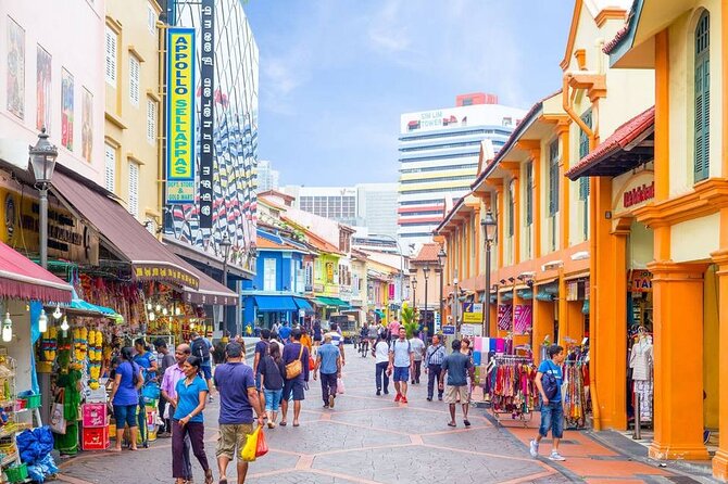 Private Half-Day Driving Tour in the Heart of Singapore - Comfortable and Convenient Transportation