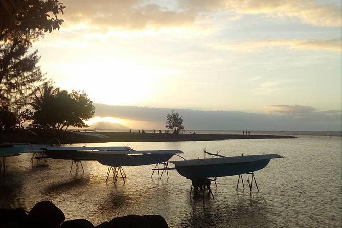 Private Half-Day Explorer Tour of Tahiti  - Papeete - Tour Experience
