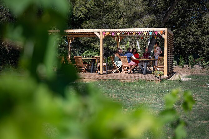 Private Half-Day Languedoc Wine Tour From Sète - Reviews