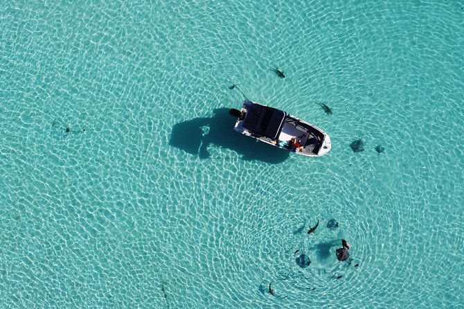 Private Half-Day Snorkeling Tour, Moorea - Booking and Pricing Details