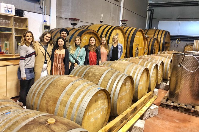 Private Half-Day Wine Tour Near Madrid - Rated Unique and Personalized - Reviews