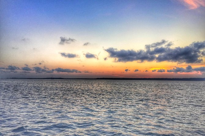 Private Hilton Head Dolphin Watching Tour With Waterfront Dining Stops - Scenic Locations