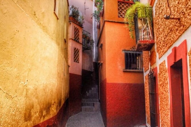 Private History & City Walking Tour of Guanajuato - Cancellation Policy