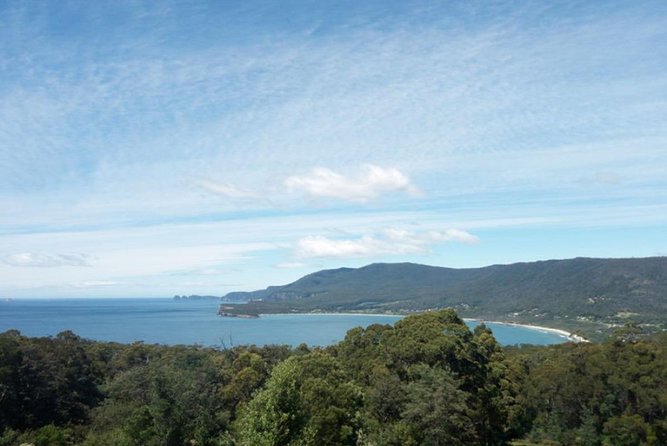 Private Hobart Discover South East Food and Scenic Tour - What to Expect