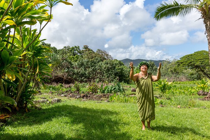 Private Honolulu Historical Tour - Historical Sites Included