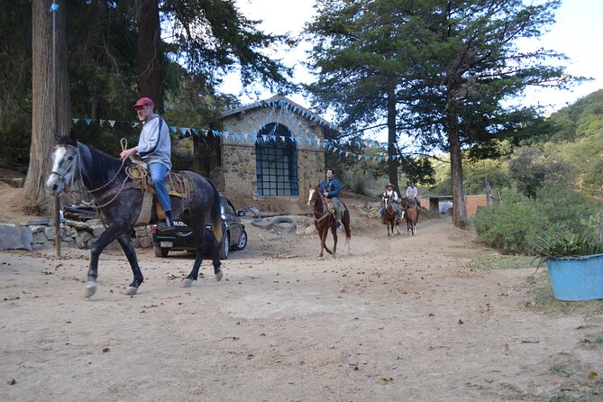 Private Horseback Ride on El Camino Real in Guanajuato - Sample Menu Options