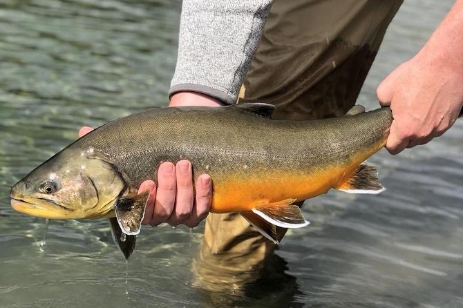 Private Lake and River Fishing Tour From Reykjavik - Additional Information
