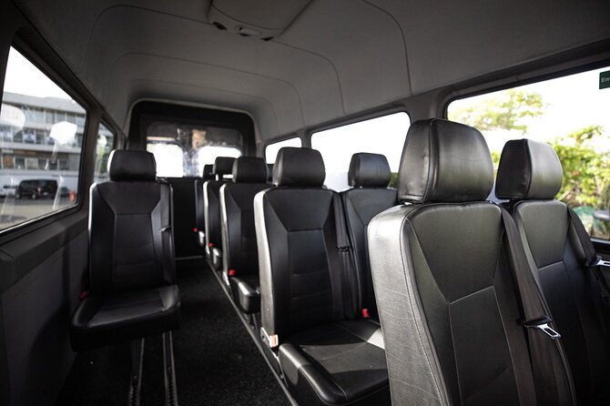 Private Large-Group Transfer From San Juan Airport or Port - Overview of Service