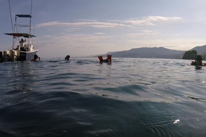 Private Los Arcos Snorkeling - What To Expect