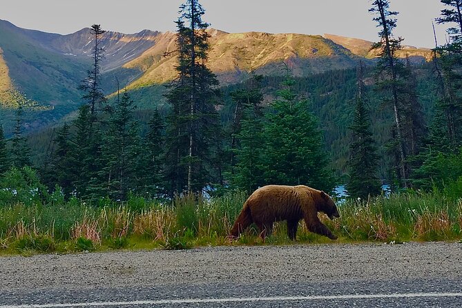 Private Luxury Shore Excursion Skagway, AK to Emerald LAKe, Yukon. - Meeting and Pickup Details