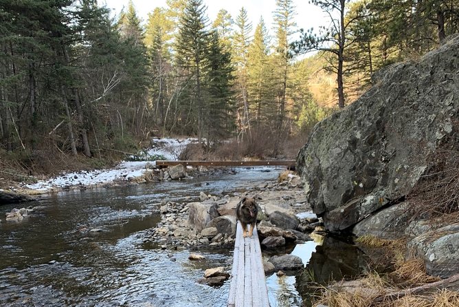 Private Mount Rushmore and Flume Trail Hike - Cancellation Policy for the Private Mount Rushmore and Flume Trail Hike