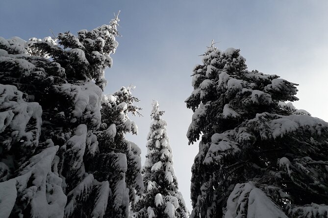 Private Mountain Snowshoe Hike From Chamonix - Private Snowshoe Adventure to Sciozier Ridge