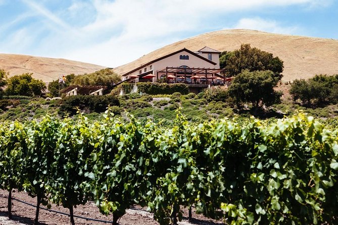 Private Napa Sonoma Wine Tour & Custom Concierge - Important Information