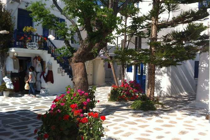 Private Only "The Highlights" Walking Tour - Local Guide and Insiders Perspective