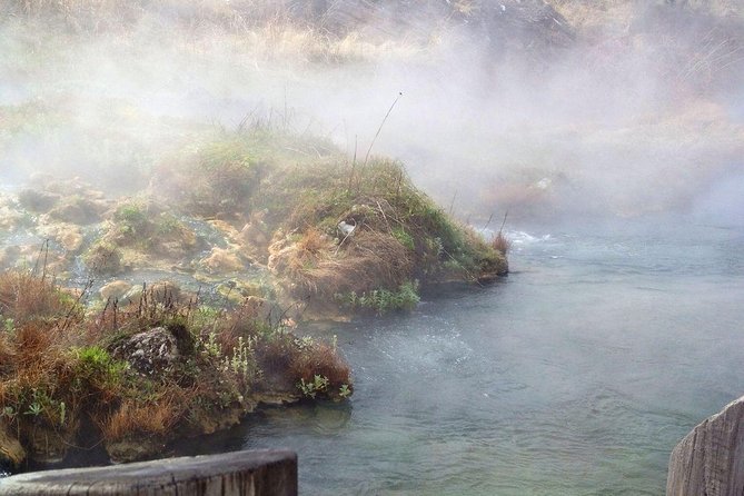 Private “Pet Friendly” Yellowstone National Park Tours by CWA - Date and Travelers