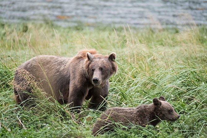 Private Photography Tour Haines Departure - Cancellation Policy