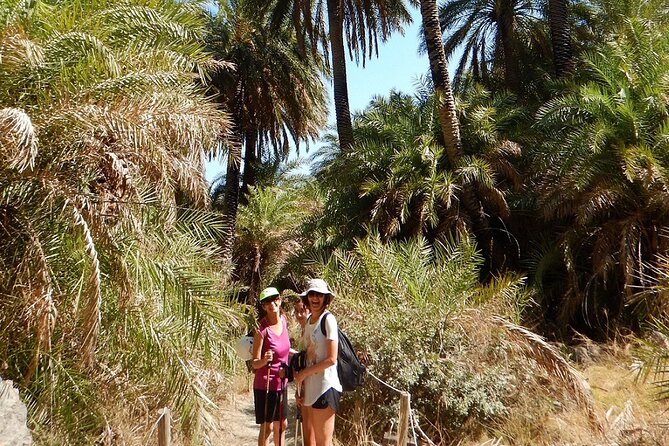 Private River Trekking and Gorge Walking Adventure in Crete - Exploring the Waterfalls at the Source