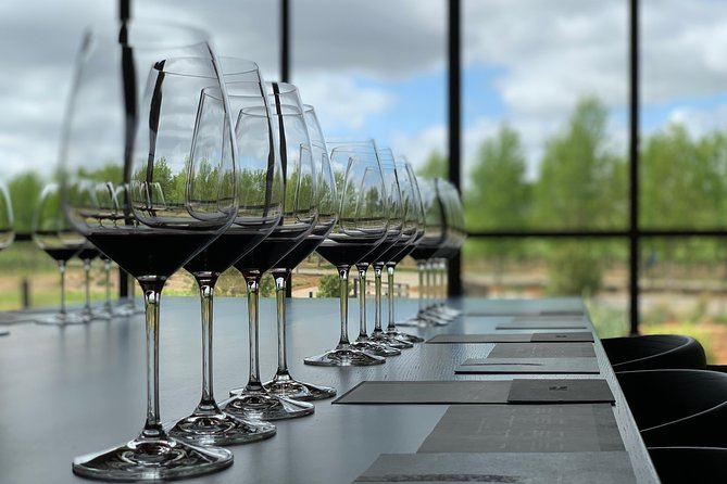 Private Santa Barbara Winery and Estate Tour in Tesla SUV - Tour Experience