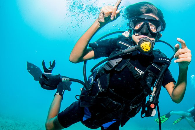 Private Scuba Diving Puerto Vallarta Undersea - What To Expect