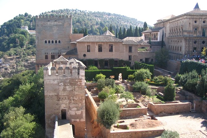 Private Shore Excursion to the Alhambra and Granada From Motril Cruise Port - Private Guide and Transportation