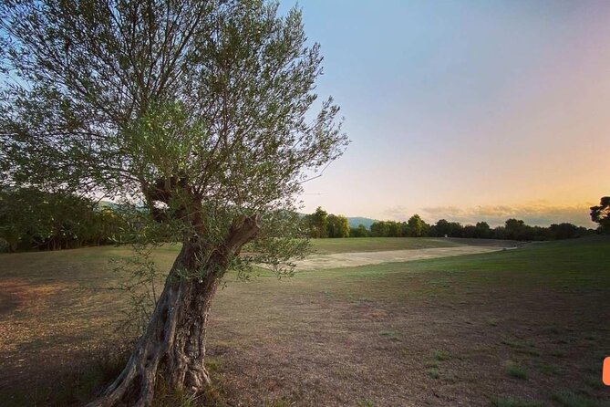 Private SHOREX Cultural Free Tour to Olympia &Agios Andreas Beach - Olympia: The Birthplace of the Olympic Games