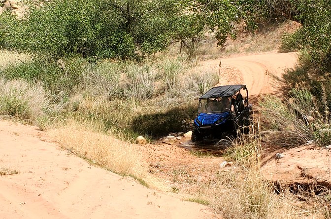 Private Side-by-Side Car Tour in Arch Canyon - Pricing and Booking Details