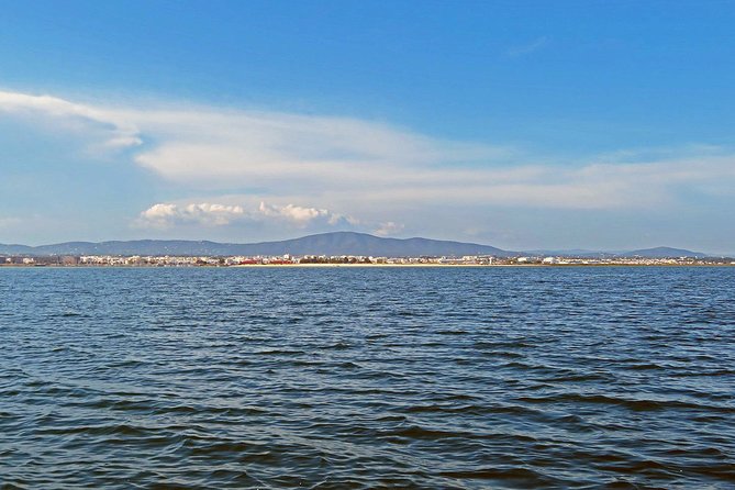 Private Sightseeing Boat Tour in Ria Formosa at Olhão - Discover Hidden Islands and Fishing Communities