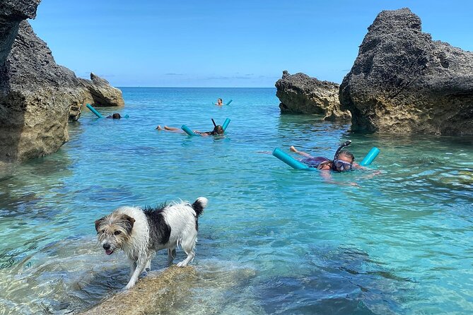 Private Sightseeing, Swimming Boat Charter With Captain and Dog! - Expectations and Accessibility