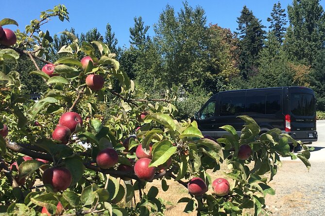 Private Small Group Local Wine and Cider Tasting, Central Saanich - Traveler Photos