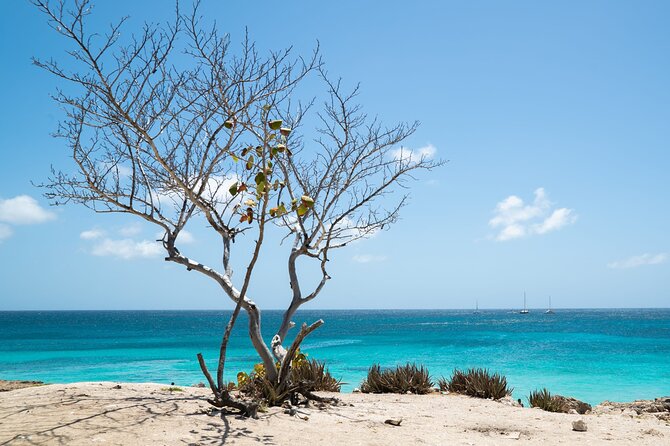 Private Snorkel With 2 Stops in Aruba - Eco-Friendly! - Overview of the Snorkel Excursion