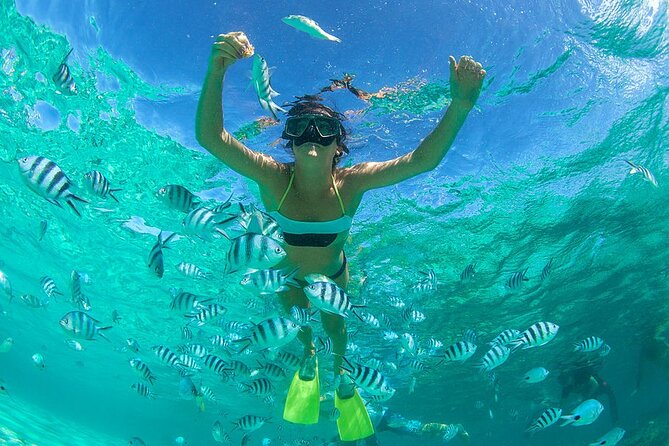 Private Snorkeling With Turtles in Fujairah With BBQ - Private Tour: Enjoy Exclusive Access to the Snorkeling Site
