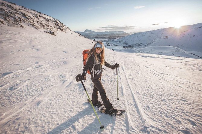 Private Snowshoe Hike X Tesla Experience - Cancellation Policy for the Private Snowshoe Hike X Tesla Experience